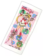 Collective Towel "Bishojo Senshi Sailor Moon SuperS"