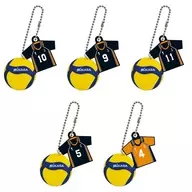 5-Type Set "Haikyu! ×MIKASA Volleyball & Uniform Double Swing"