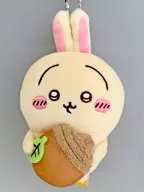 Rabbit (Acorn DJ) mascot "Little Kawa Market Little Kawa KUJI Little Kawa is Small and Cute Guys Full of Rabbits KUJI" D Prize
