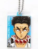 Gyomei Himejima "Anime Demon Slayer: Kimetsu no Yaiba Bashira Exhibition - And Infinite Castle - Random Aurora Acrylic Charm"