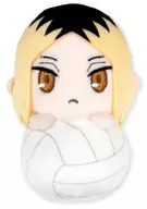 孤爪 Shinsaku Pyoko-Nui "Hi-Q!"