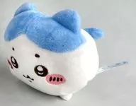 Hachiwale : "Chikawawa es pequeño y lindo, Peluche resbaladizo".