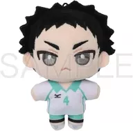 Iwaizumi Ippui Pal (Plush toy mascot) 2nd series "Haikyu!!!"