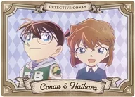 Edogawa Conan & Ai Haibara Ani-Art 9th series A5 hard case "CASE CLOSED"