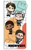 M-OA (Assembly) Minna mochocho Taisaku! The 7th premium ticket case "Haikyu!!!"