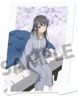 [New] Sakurajima Asaginu summer vacation (room wear ver.) Newly drawn visual acrylic plate "Seishun Butataro Series"