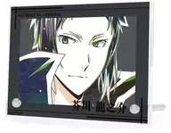 芥川龍之介 Ani-Art 第4弾 ダブルアクリルパネル 「文豪ストレイドッグス」