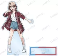 [新品] 井芹仁菜 描き下ろし BIGアクリルスタンド 私服ver. 「ガールズバンドクライ」