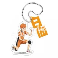 日向翔陽 +nameアクリルキーホルダー VS好敵手 「ハイキュー!!」