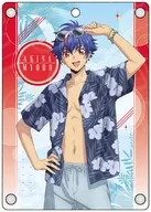 明導アキナ(バカンス ver.) アクリルパスケース 「カードファイト!! ヴァンガード Divinez デラックス決勝編」