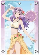 員弁ナオ(バカンス ver.) アクリルパスケース 「カードファイト!! ヴァンガード Divinez デラックス決勝編」