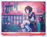 美竹蘭 プレートアクリルスタンド vol.1 Afterglow 「BanG Dream! ガールズバンドパーティ!」