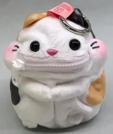 みけねこ ぱくぱくポーチ ほおばりいず