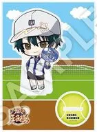 [新品] 越前リョーマ フレフレンズBIGアクリルスタンド 「新テニスの王子様」
