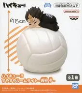 西谷夕 すやすやルームライト-西谷夕- 「ハイキュー!!」