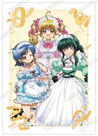 Drawing A3 mat finish poster maid ver. collection "Pichipichi Pitch"