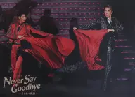 A4清晰海報真風涼帆&芹香鬥亞(寶冢歌劇團)"宙組公演『NEVER SAY GOODBYE』>