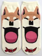 ムーコ くつした 「いとしのムーコ」 2017年 応募者全員サービス 当選品