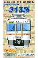 313 series (2-car set),' B-Train Shorty'