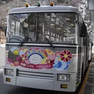 1/150 Kanden Tunnel Trolleybus 300 Type last year wrapping "Railway Collection" [291848]