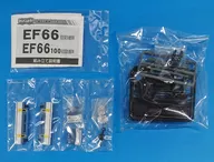 EF66-100 final "B Train Shorty Part 9" [129478]