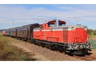 1/150 DD51-800型柴油机车(牧马车中心)SET(2节)[98162]