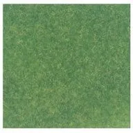日本の草はら 夏色 [24-462]