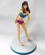 Hitomi (Special Swimwear Color version) 「 one coin figure series DEAD OR ALIVE Xtreme Beach Volleyball 」