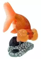 Categoria : Desenhos de peixes ornamentais