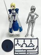 Saber (Color / Armor + Winning Golden Sword) & Saber (Silver / Swimsuit) Fate/stay night Figure Collection Part1