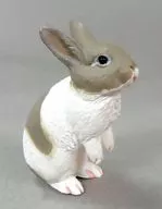 8. Pet Rabbit (White / Gray) "Capsule Q Museum : The First Collection of Japanese Pet Animals Taizen"