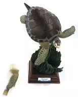 02海龟(烏龟吉)"Nature Technicolor鳥羽水族館立體珍藏品3人魚的大海·coral葉潛水>