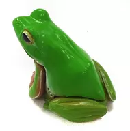 Schlegel's green tree frog "Capsule Q Museum Japanese Animals 5 : Lake Biwa" by