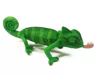 Camaleão comum (com padrão) "Camaleão crepúsculo"