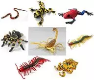 全8種セット 「カプセルQミュージアム 有毒危険動物大全」