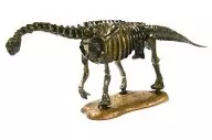 Camarasaurus Skeleton B Color "ダイノテイルズ 7 Dinosaur Model Picture Book Lawson Edition Part 2" 2006 campaign item