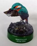 3. common kingfisher "Bird Tales 2 : Forests and Clear Streams - From Hometown of Natural Water -"