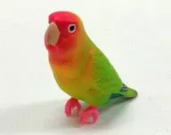 Kozakura Parakeet (green) "Hand-dried Parakeet Collection Wing Rest Version"