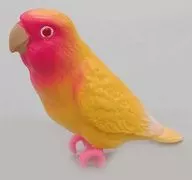 Kozakura Parakeet (Yellow) "Hand-dried Parakeet Collection Feather-Resting Version"