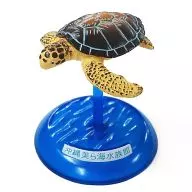 06.海龟冲绳美丽海水族馆限定