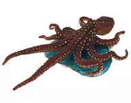Shimadako 「 Stereoscopic Capsule Encyclopedia Primary Color Octopus and Squid Guide 」