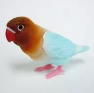 Button Parakeet (blue) "Tenonori Parakeet Collection ~ New Friends ~"