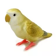 Cozakura Parakeet (thin tea) "Tenonori Parakeet Collection ~ New Friends ~"