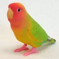 Kozakura Parakeet (yellow) "Tenonori Parakeet Collection ~ New Friends ~"