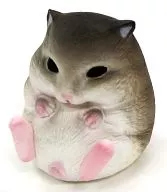 Djungarian hamster 「 Shota Kyudo Fukyu Akon 」