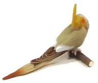 Cacatua C (Tipo de Boa noite) "Coleção de Periquitos de Mão - Edição de Boa noite de Suyasuya"
