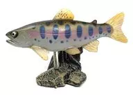 3.ヤマメ(台座：彩色) 「原色淡水魚図鑑I」