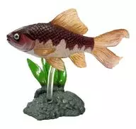 テツギョ "Primary Color Freshwater Fish Guide II Revised"