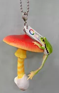 キタマゴダケ and Tree frog (ball chain) "Nature Technicolor MONO PLUS mushroom and Tree frog 2 ball chain and figure mascot"