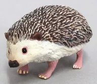 Hedgehog (Stand ver. / Regular Color) "Capsule Q Museum Fungi Pet Collection"